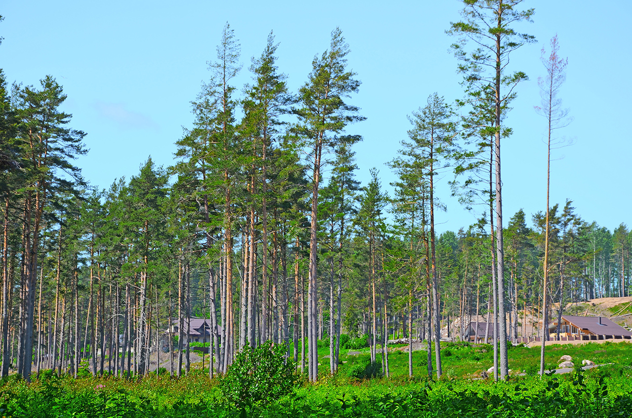 Дом 146 м² на участке 7 сот.