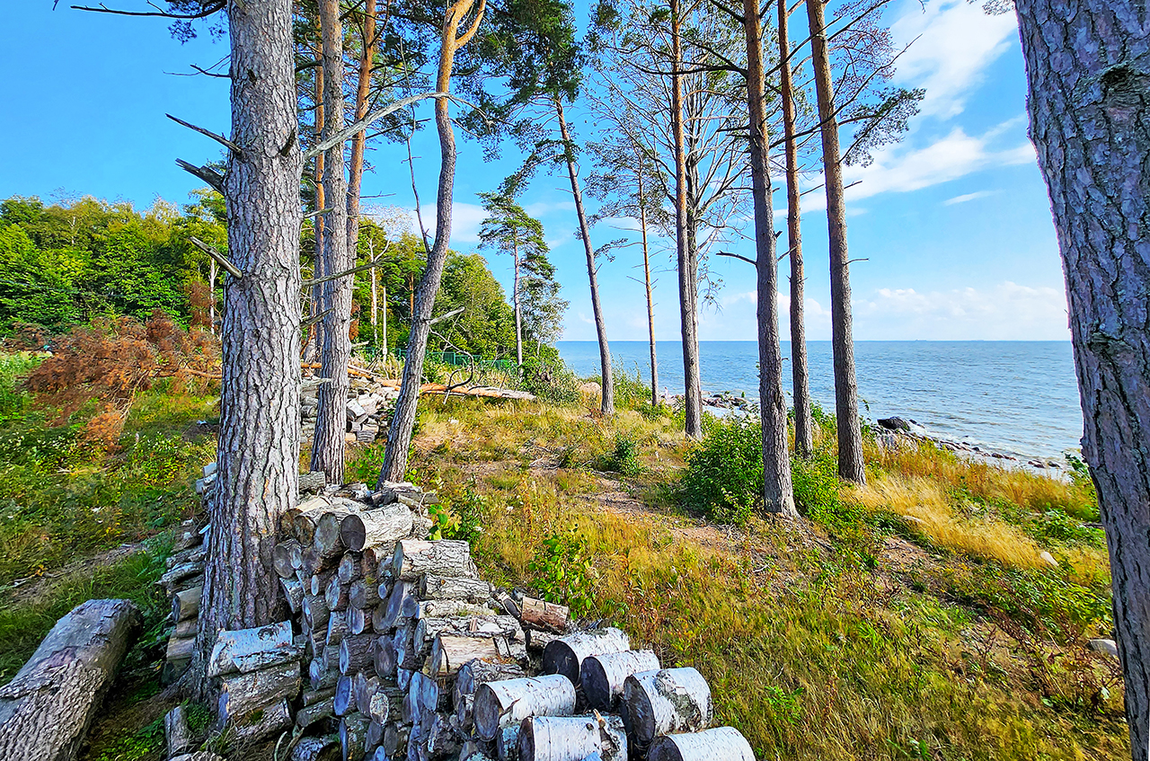 Дом 400 м²  на берегу Финского залива  на участке 22,5 сот