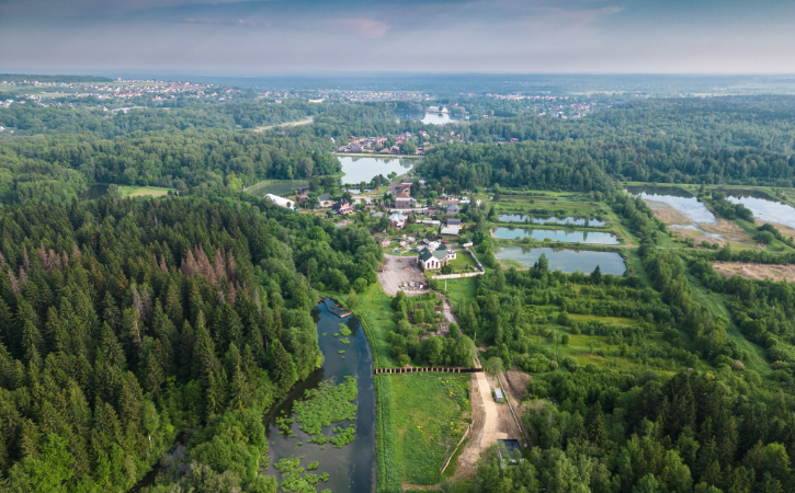 Ропша (Береговая линия)