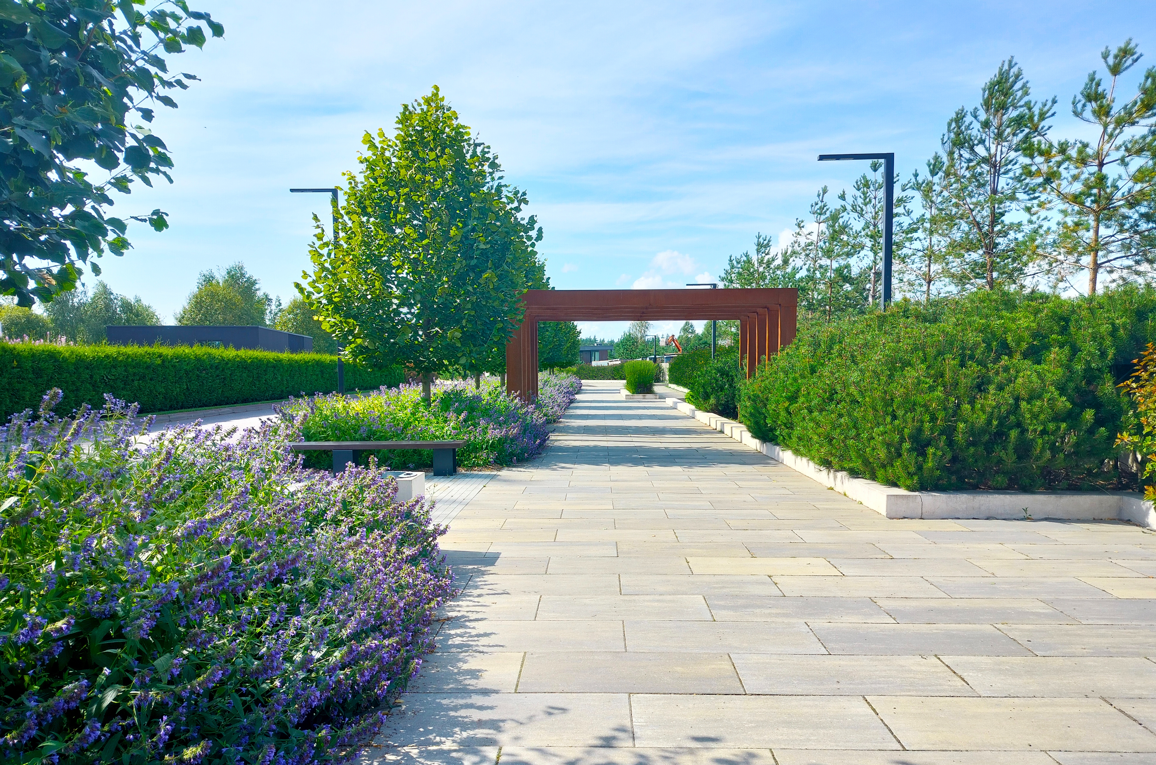 Участок 24 сот. (ДНП)