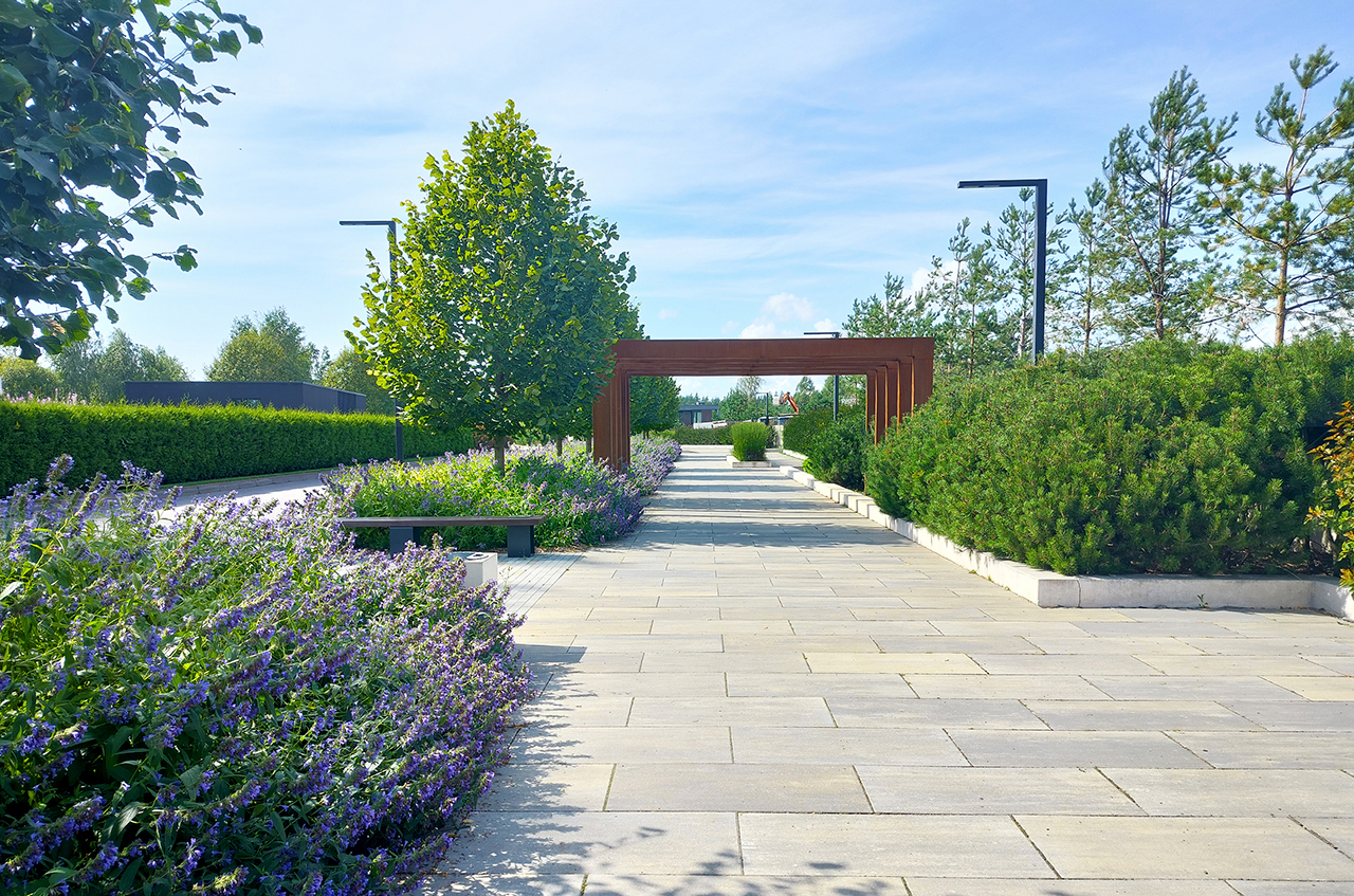 Участок 24 сот. (ДНП)