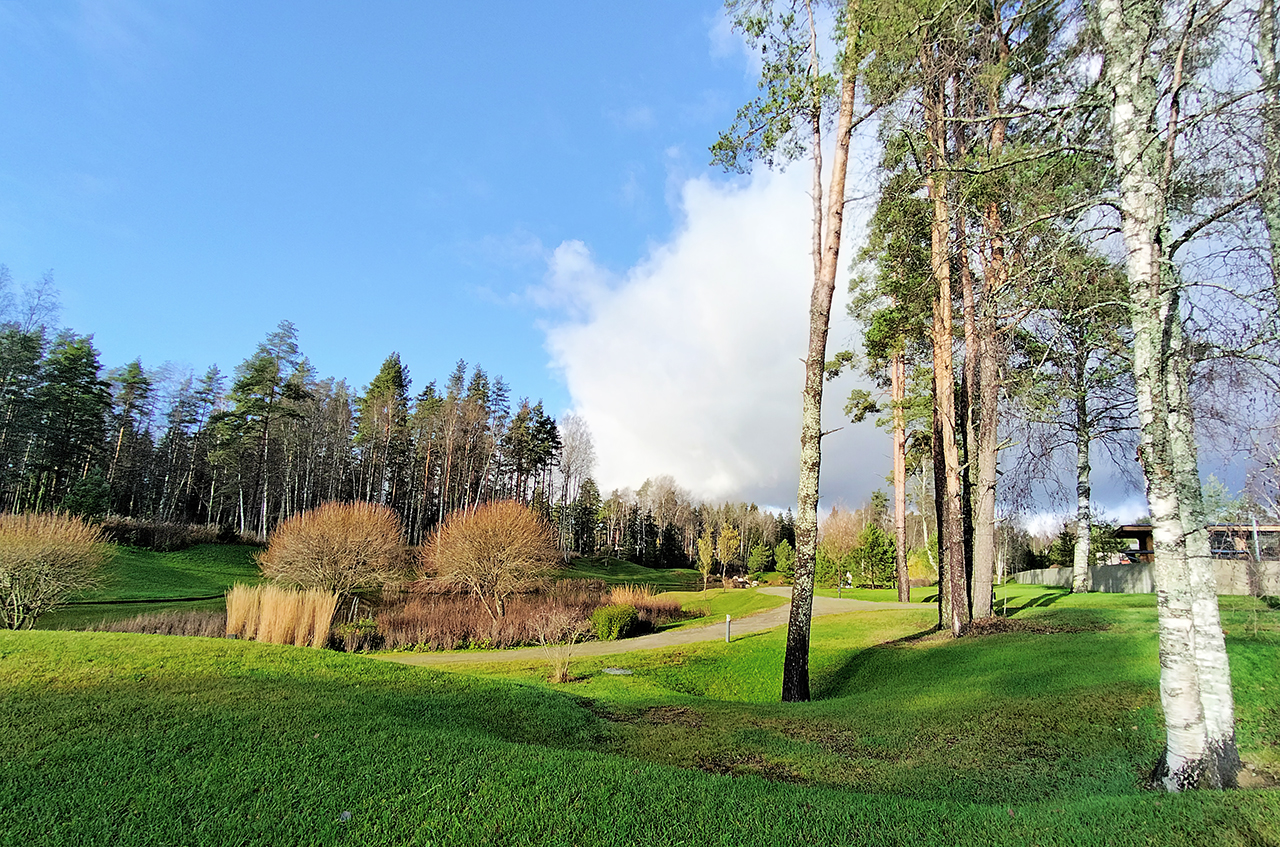 Участок 24 сот. (ДНП)