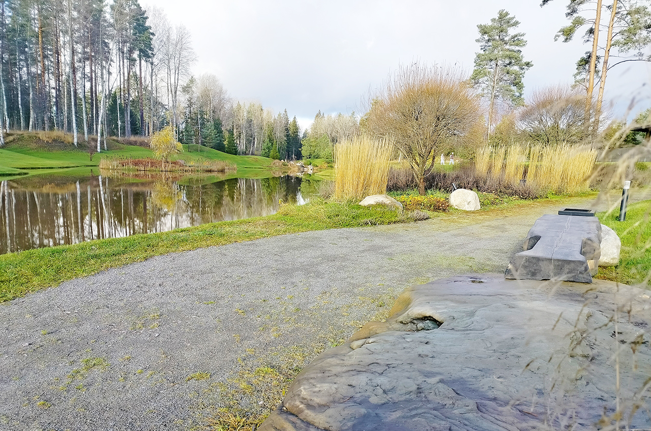 Участок 24 сот. (ДНП)