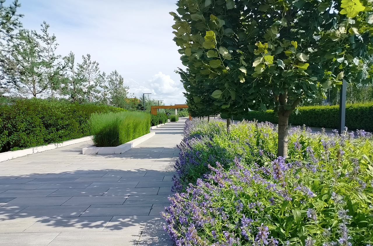 Участок 24 сот. (ДНП)