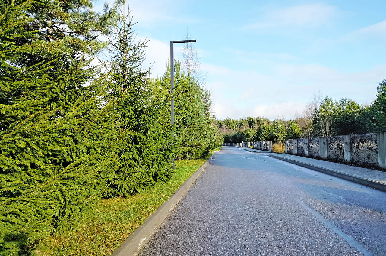 Участок 24 сот. (ДНП)