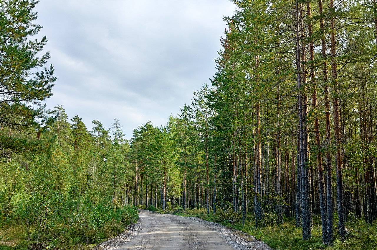 Участок 8,9 сот. (ИЖС)